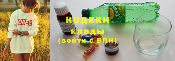 мдпв Вяземский